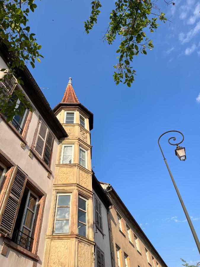 Le Baumann Concept: Appartement De Charme Dans Un Monument Historique Colmar Exterior photo
